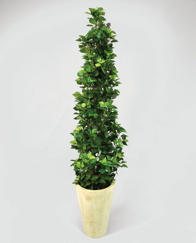 1101-160 Hedera Ivy 160cm